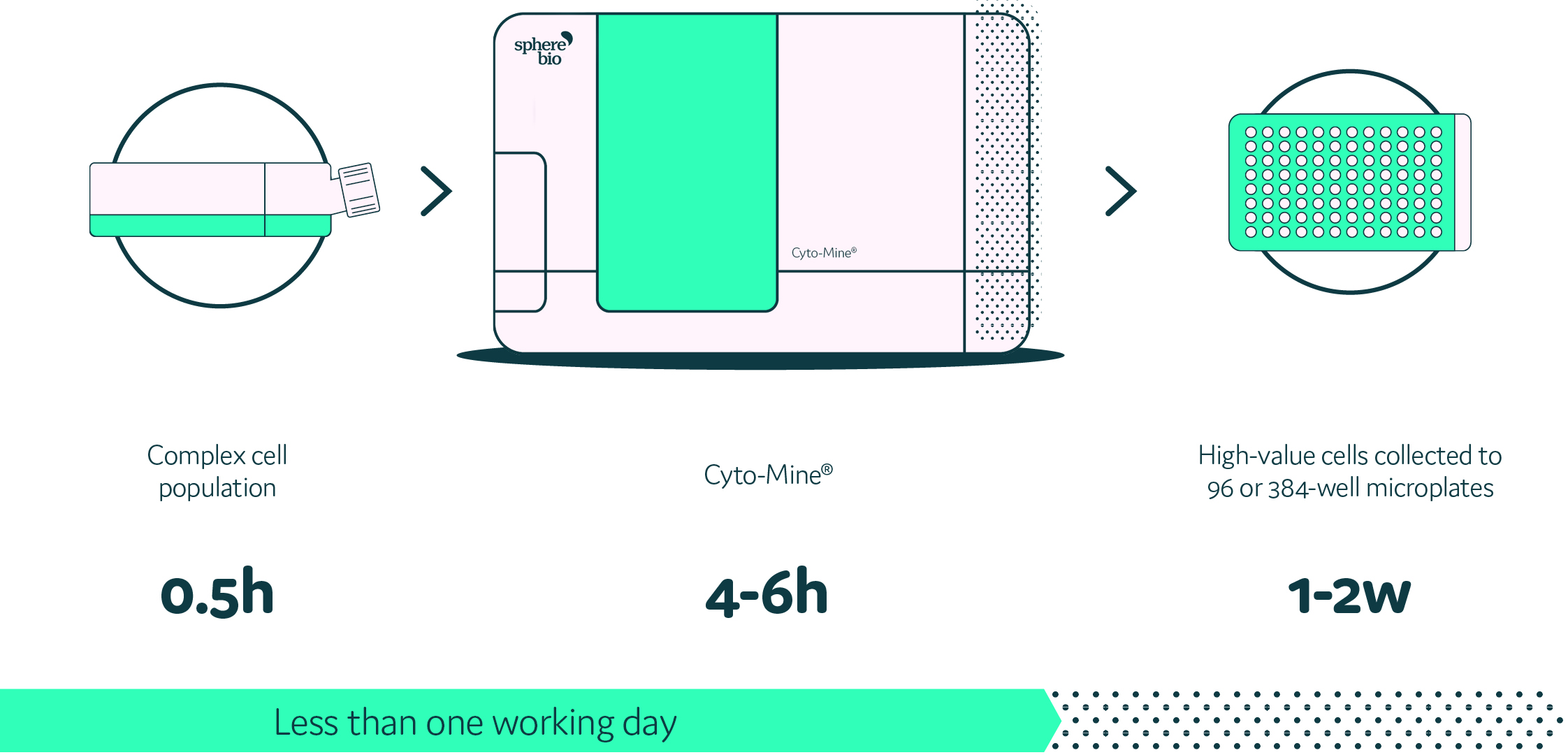 See how the Cyto-Mine platform integrates into your workflow making this step less than one working day