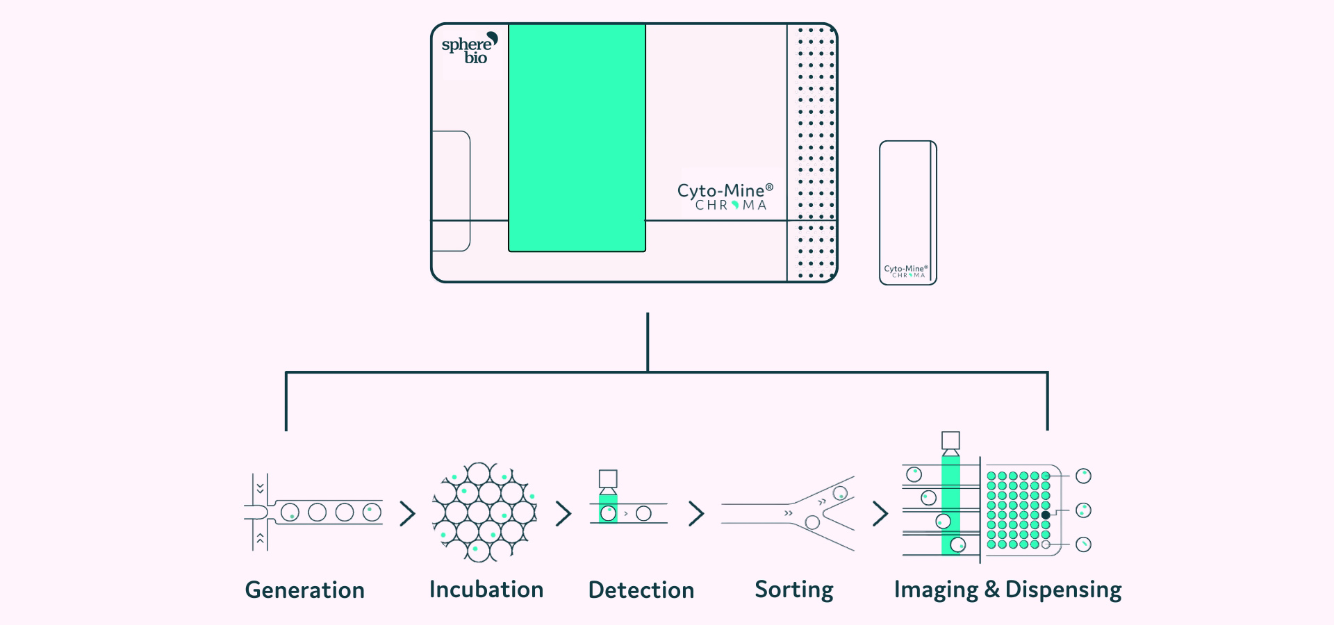 Illustration showing the steps you can automate using the Cyto-Mine platform: Generation, Incubation, Detection, Sorting, IMaging & Dispensing