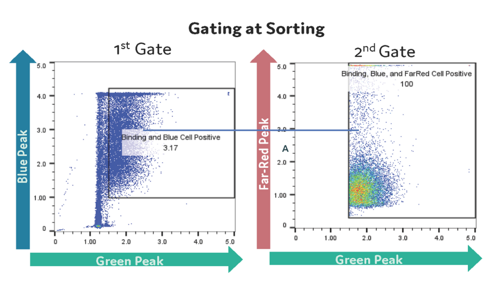 Gating at Sorting diagram