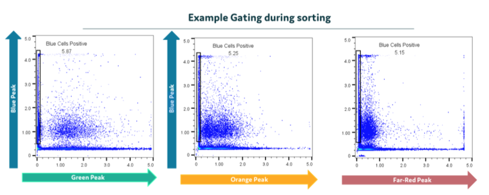 Gating during sorting