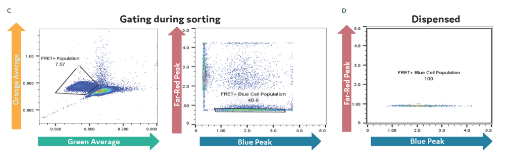 Figure C) Cells were gated in sorting on FRET followed by Blue cell-only gating. Figure D) Profile of cells dispensed.