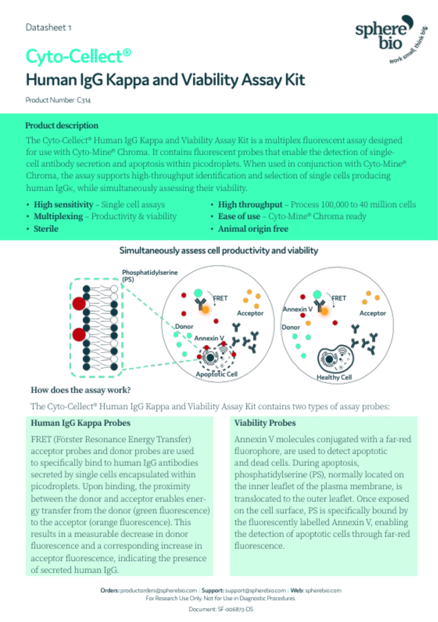 Viabiilty Assay Datasheet preview for download
