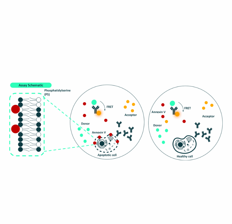 Viability Datasheet Featured Image