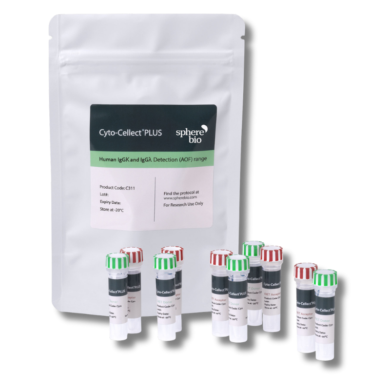 Cyto-Cellect® Plus Human IgG κ and λ Detection Assay Kit