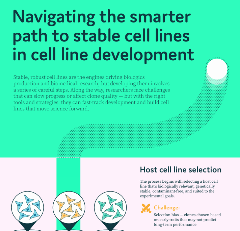 Spring Cell Line Navigating the Smarter Path to Stable Cell Lines | SphereBio