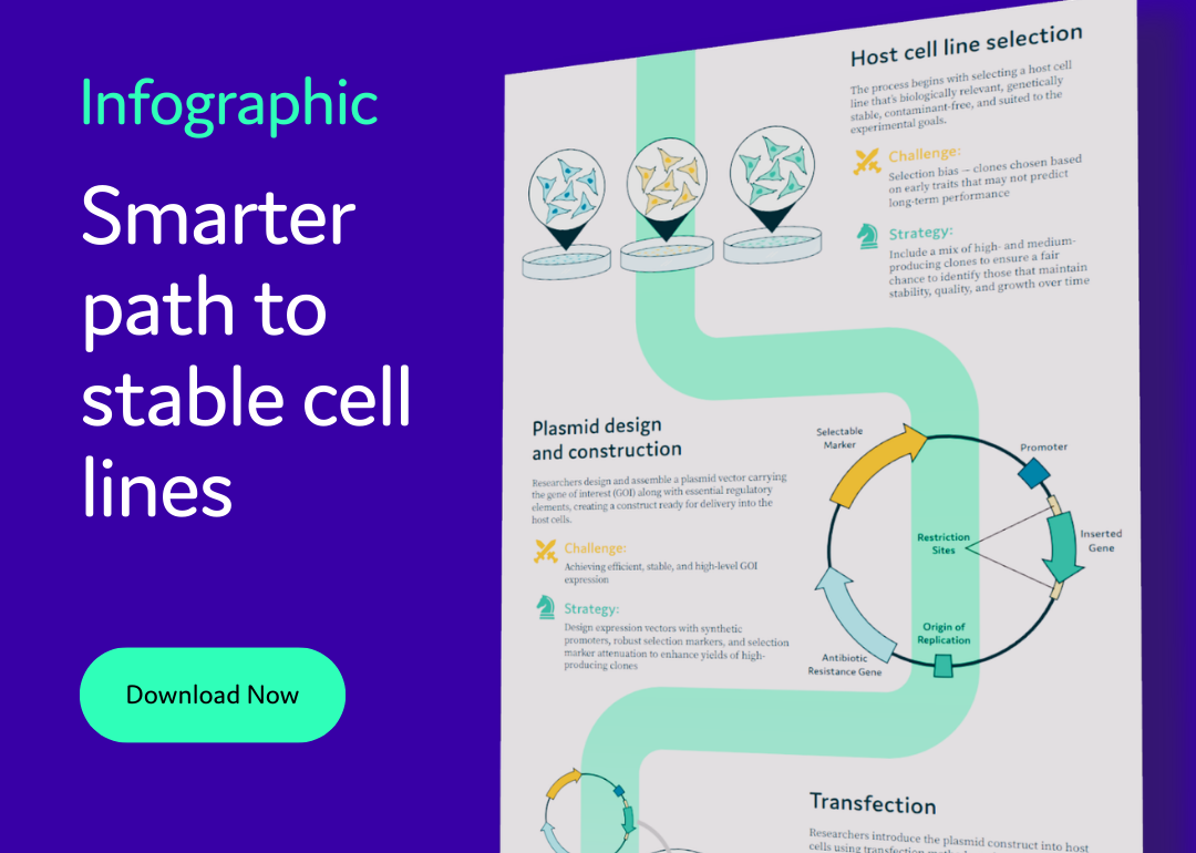 Smarter path to stable cell lines infographic featured image